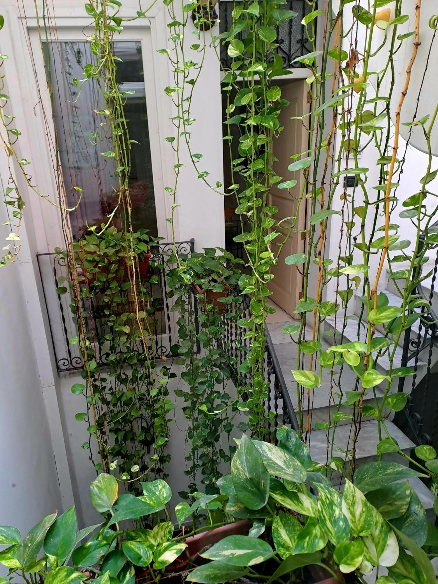 Bed & Breakfast Ai Tintori
